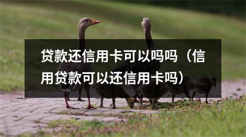 贷款还信用卡可以吗吗（信用贷款可以还信用卡吗）