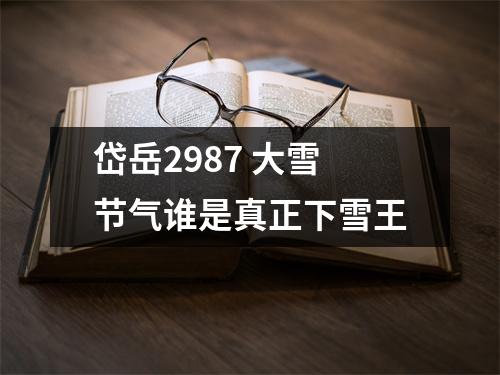 岱岳2987 大雪节气谁是真正下雪王