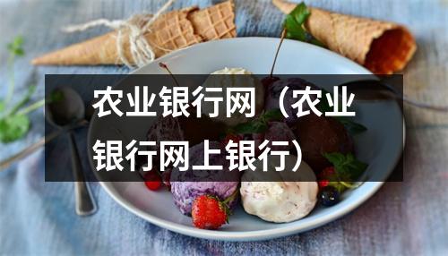 农业银行网（农业银行网上银行）