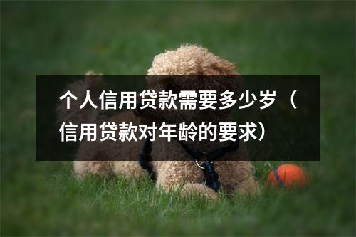 个人信用贷款需要多少岁（信用贷款对年龄的要求）