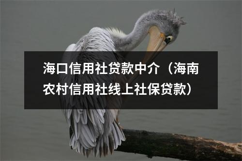 海口信用社贷款中介（海南农村信用社线上社保贷款）