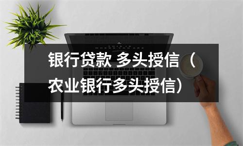 银行贷款 多头授信（农业银行多头授信）