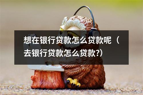 想在银行贷款怎么贷款呢（去银行贷款怎么贷款?）