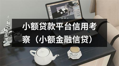 小额贷款平台信用考察（小额金融信贷）
