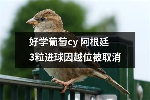 好学葡萄cy 阿根廷3粒进球因越位被取消