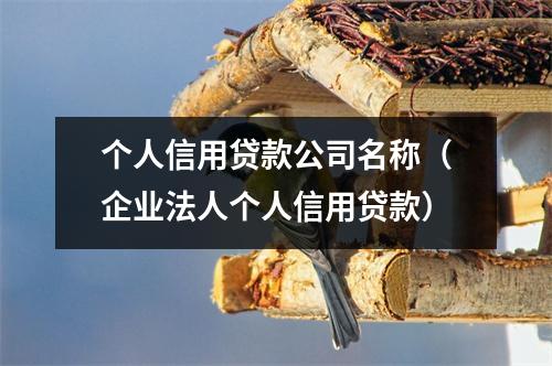 个人信用贷款公司名称（企业法人个人信用贷款）