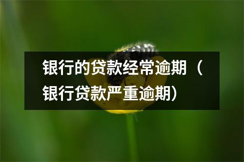 银行的贷款经常逾期（银行贷款严重逾期）