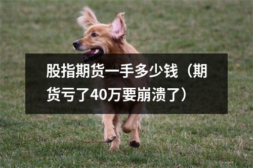 股指期货一手多少钱（期货亏了40万要崩溃了）