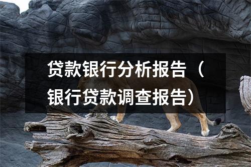 贷款银行分析报告（银行贷款调查报告）