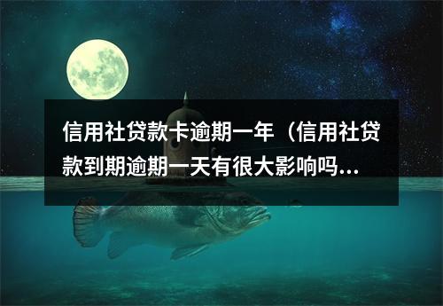 信用社贷款卡逾期一年（信用社贷款到期逾期一天有很大影响吗）