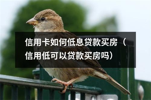 信用卡如何低息贷款买房（信用低可以贷款买房吗）