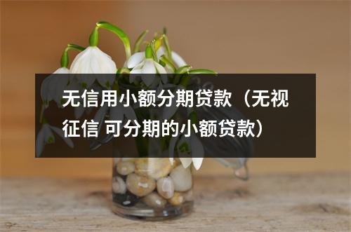 无信用小额分期贷款（无视征信 可分期的小额贷款）