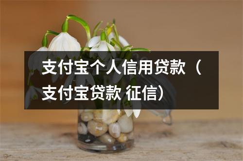 支付宝个人信用贷款（支付宝贷款 征信）