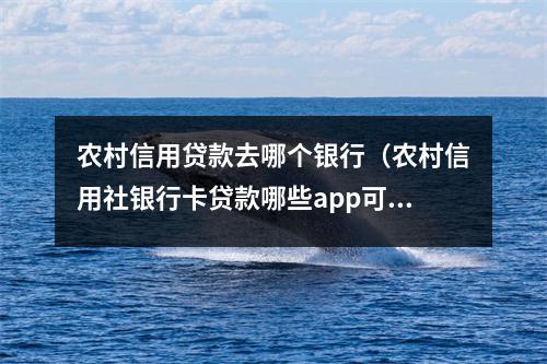 农村信用贷款去哪个银行（农村信用社银行卡贷款哪些app可以贷）
