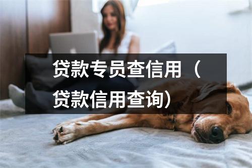 贷款专员查信用（贷款信用查询）