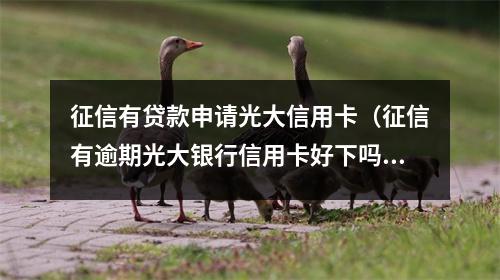 征信有贷款申请光大信用卡（征信有逾期光大银行信用卡好下吗）