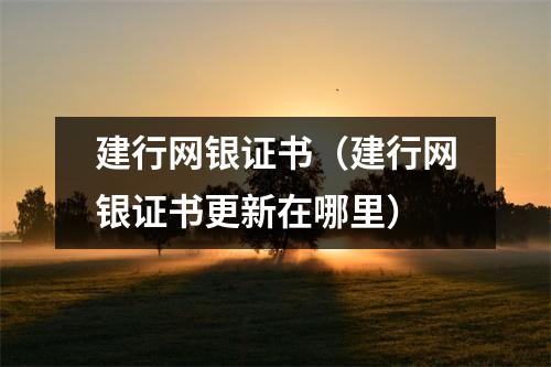 建行网银证书（建行网银证书更新在哪里）