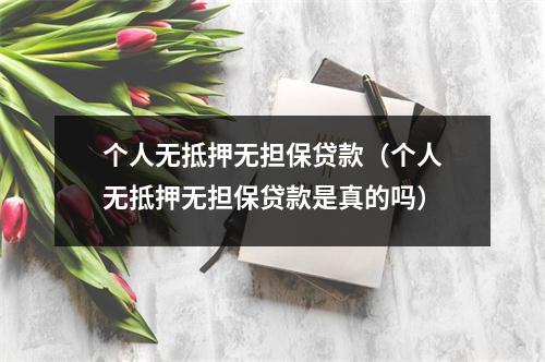 个人无抵押无担保贷款（个人无抵押无担保贷款是真的吗）