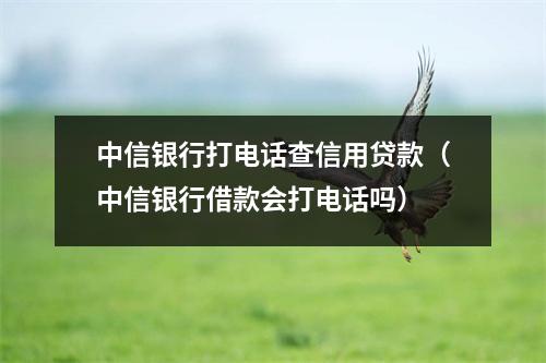 中信银行打电话查信用贷款(中信银行借款会打电话吗)