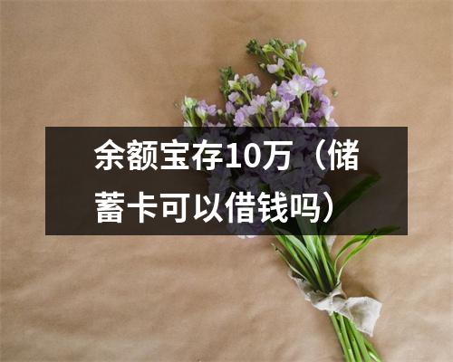 余额宝存10万（储蓄卡可以借钱吗）