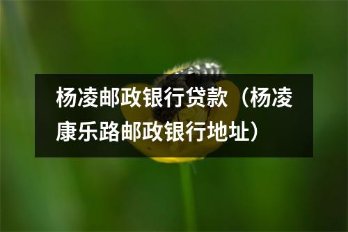 杨凌邮政银行贷款(杨凌康乐路邮政银行地址)