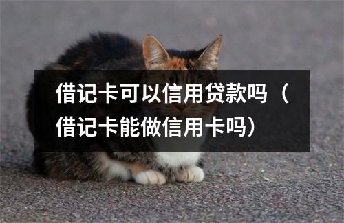 借记卡可以信用贷款吗（借记卡能做信用卡吗）