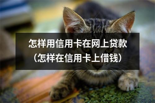 怎样用信用卡在网上贷款（怎样在信用卡上借钱）