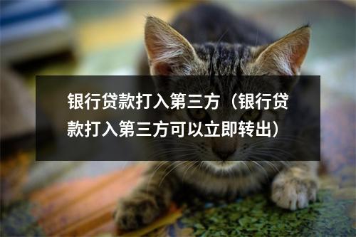 银行贷款打入第三方(银行贷款打入第三方可以立即转出)