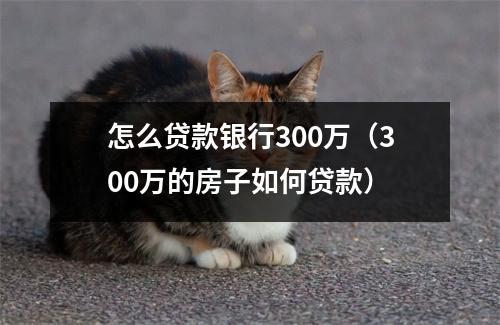怎么贷款银行300万（300万的房子如何贷款）