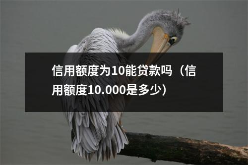 信用额度为10能贷款吗(信用额度10.000是多少)