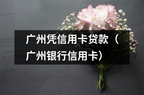 广州凭信用卡贷款(广州银行信用卡)