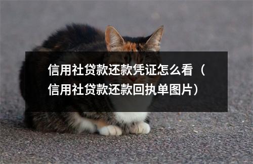 信用社贷款还款凭证怎么看（信用社贷款还款回执单图片）