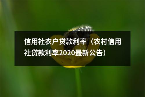 信用社农户贷款利率（农村信用社贷款利率2020最新公告）