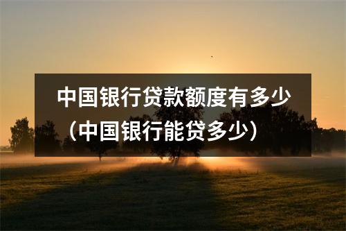 中国银行贷款额度有多少（中国银行能贷多少）