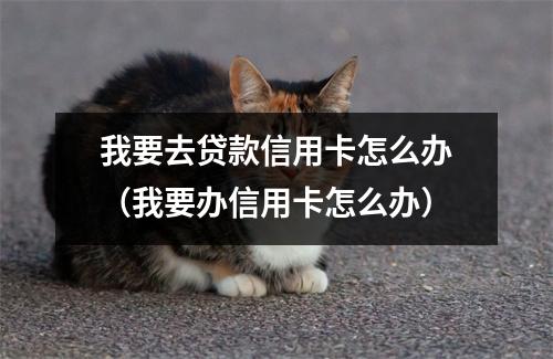 我要去贷款信用卡怎么办(我要办信用卡怎么办)