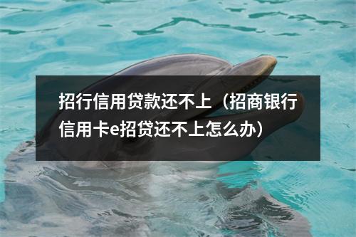 招行信用贷款还不上（招商银行信用卡e招贷还不上怎么办）