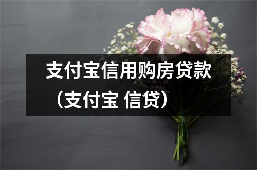 支付宝信用购房贷款（支付宝 信贷）