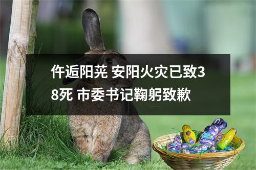 仵逅阳茪 安阳火灾已致38死 市委书记鞠躬致歉
