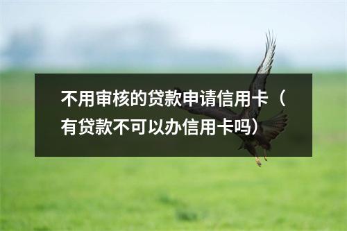 不用审核的贷款申请信用卡（有贷款不可以办信用卡吗）