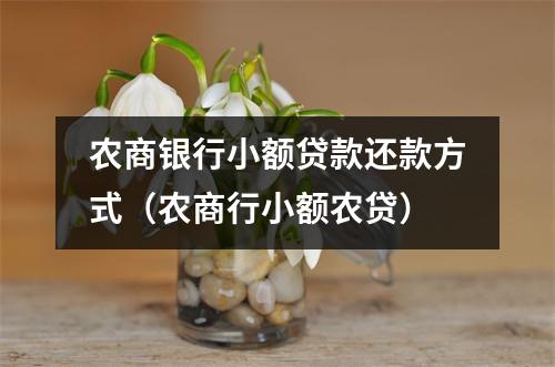 农商银行小额贷款还款方式（农商行小额农贷）