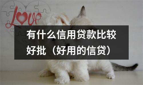 有什么信用贷款比较好批（好用的信贷）