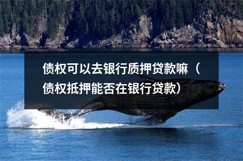 债权可以去银行质押贷款嘛（债权抵押能否在银行贷款）