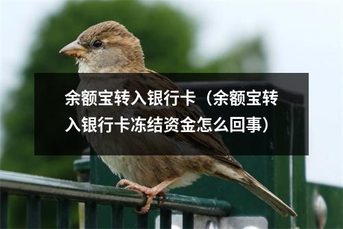 余额宝转入银行卡（余额宝转入银行卡冻结资金怎么回事）