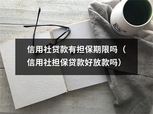 信用社贷款有担保期限吗（信用社担保贷款好放款吗）