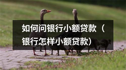 如何问银行小额贷款(银行怎样小额贷款)