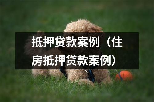 抵押贷款案例（住房抵押贷款案例）