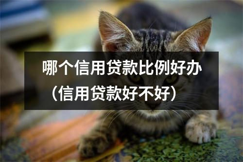 哪个信用贷款比例好办（信用贷款好不好）