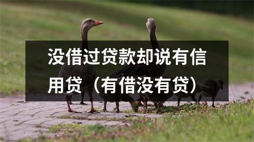 没借过贷款却说有信用贷（有借没有贷）