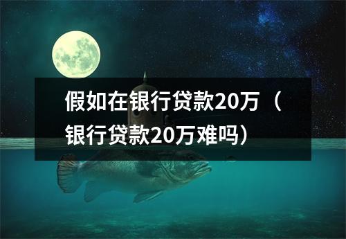 假如在银行贷款20万（银行贷款20万难吗）