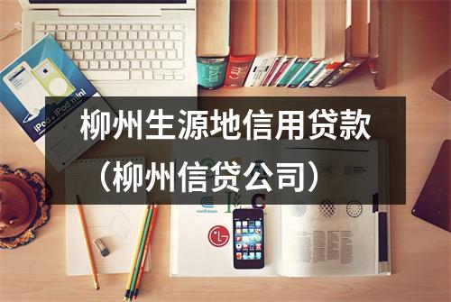 柳州生源地信用贷款（柳州信贷公司）